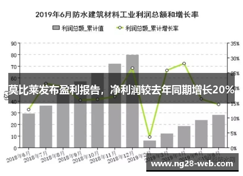莫比莱发布盈利报告，净利润较去年同期增长20%