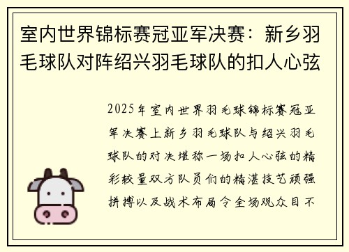 室内世界锦标赛冠亚军决赛：新乡羽毛球队对阵绍兴羽毛球队的扣人心弦对决